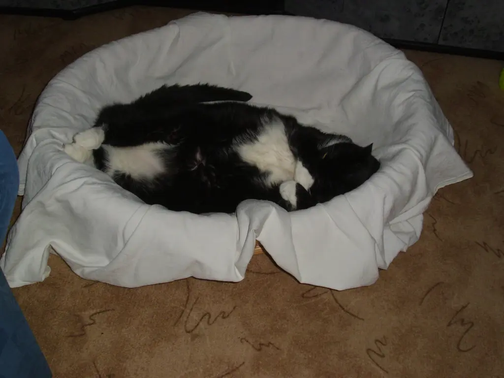 Condolence image of manuela böttcher