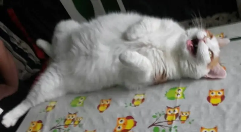 Lachen hält jung. 🥰