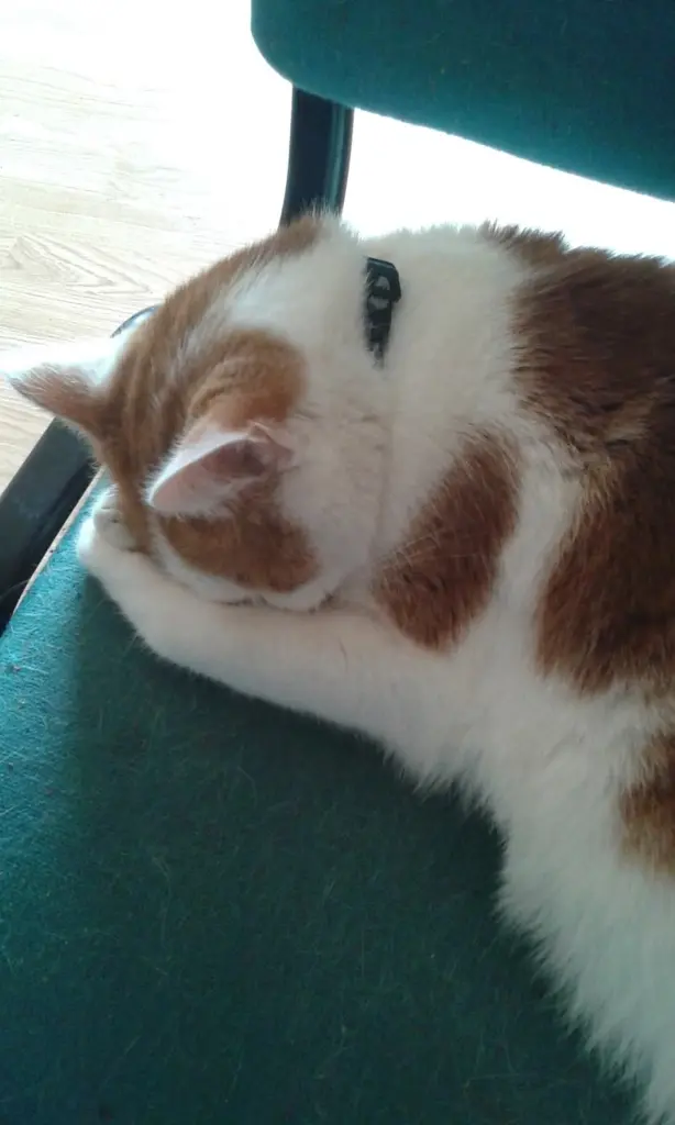 Ich bin soooooo müde. 😊