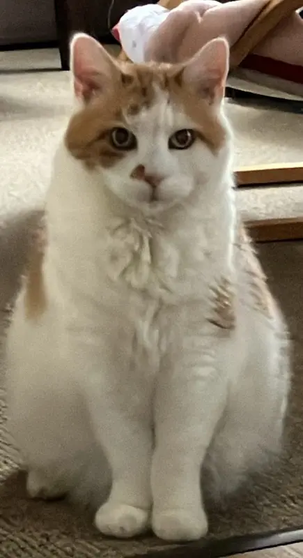 Mein hübscher Schatz. ❤️