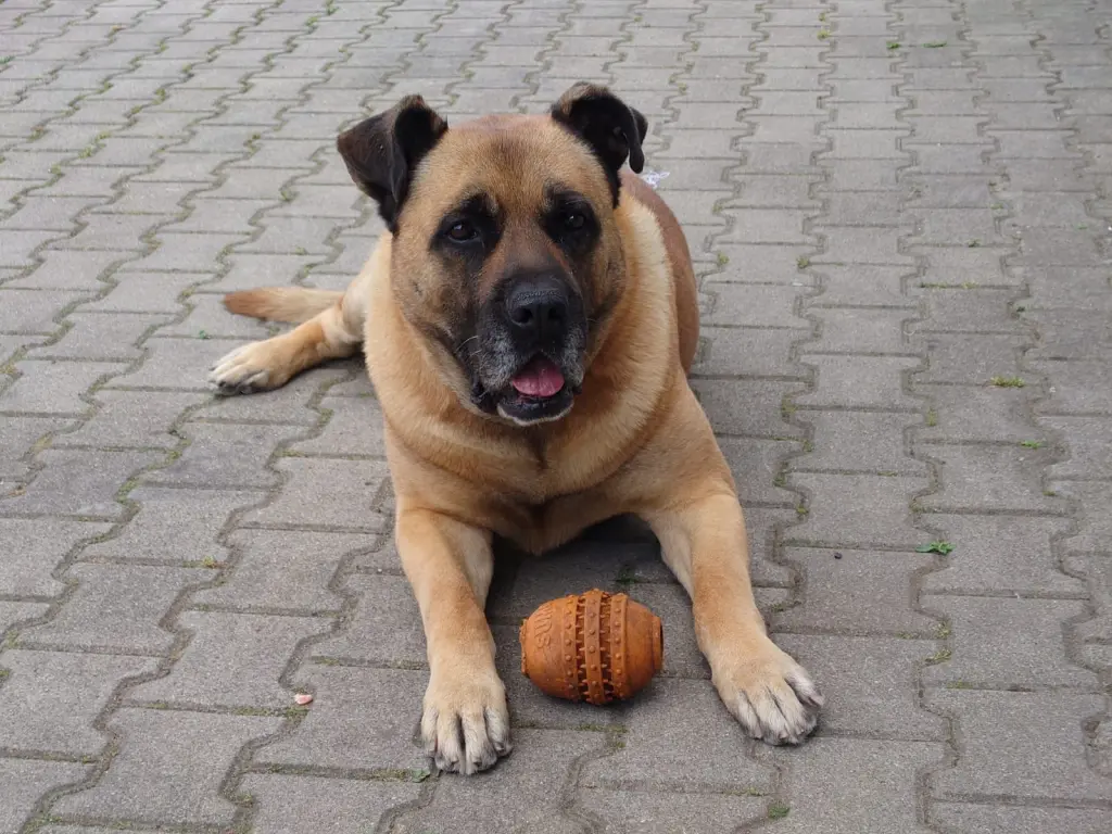 Andachtsbild von Anita Garbacz