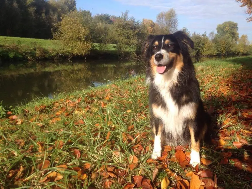 Andachtsbild von Angela