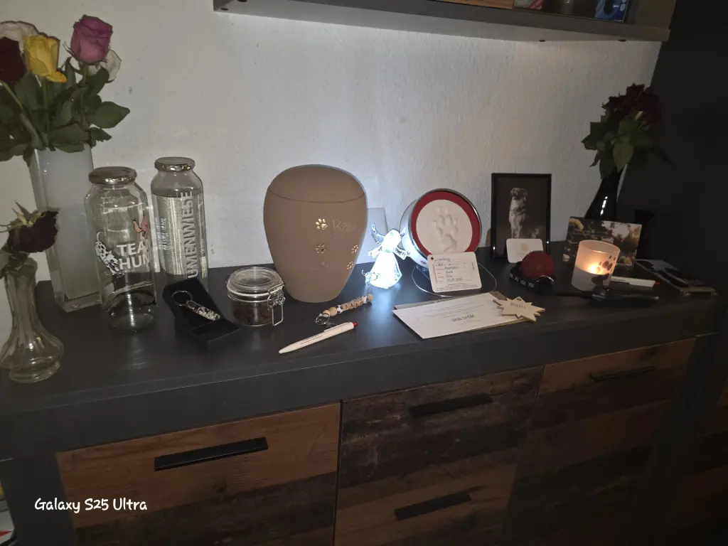 Image from Balu