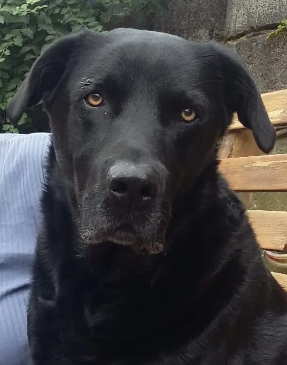 Andachtsbild von Silvia Stahlhofen