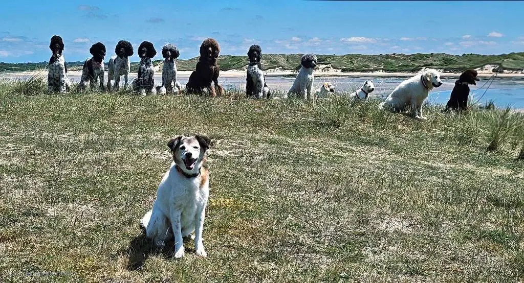 …mit ihrer Gang🥳