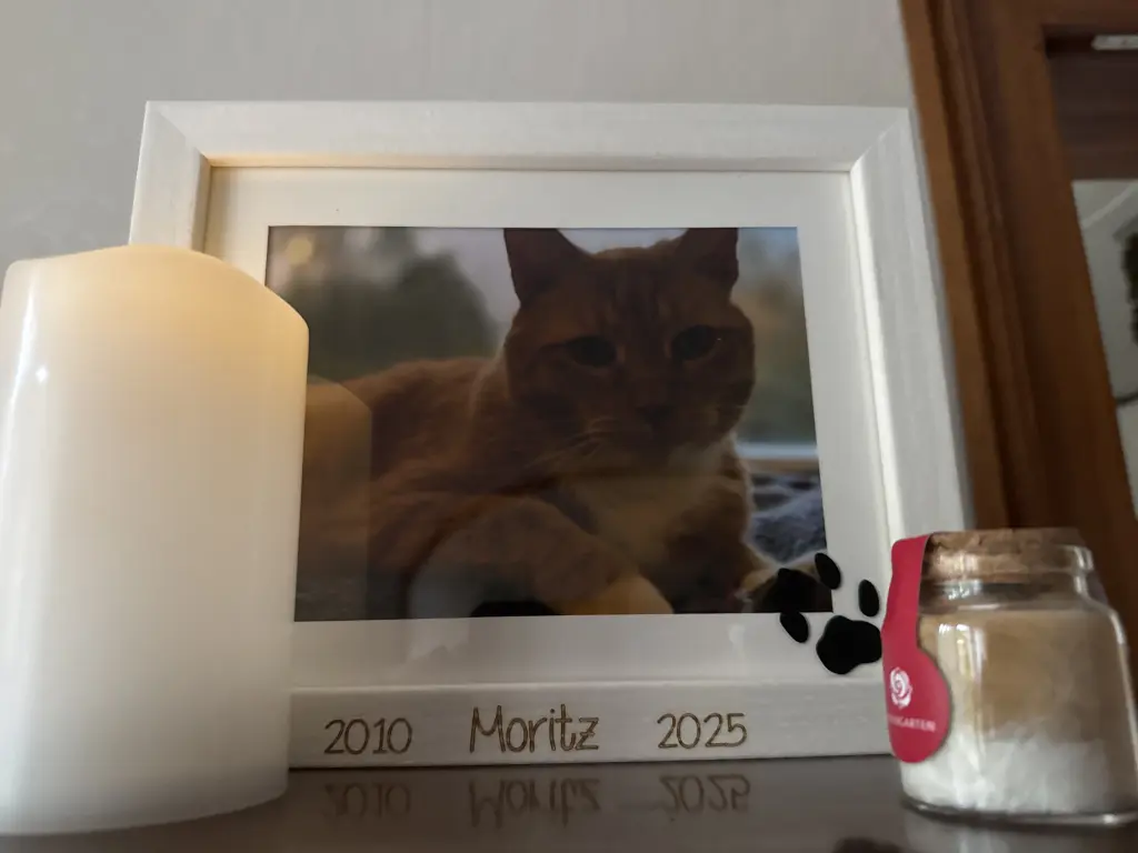 Andachtsbild von Maren Schmitz