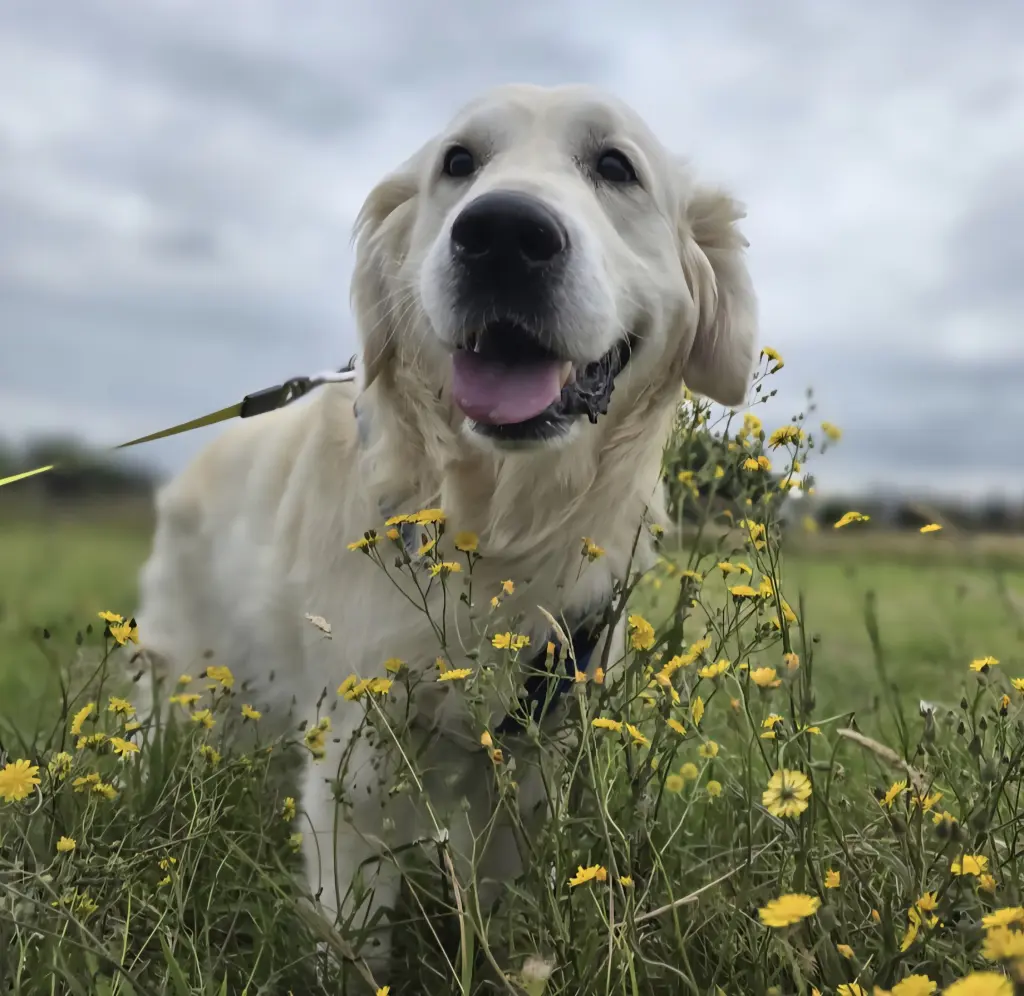 Andachtsbild von Annika Balke