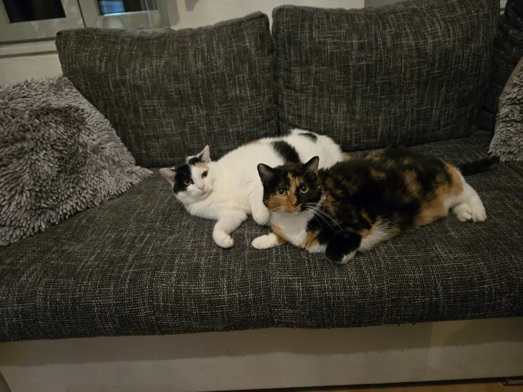 Du mit deiner kleinen Schwester 🥺