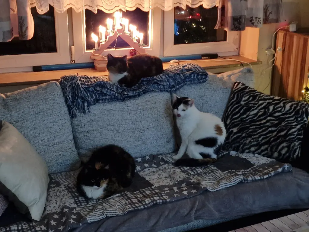 Ihr wart immer zu dritt nachdem eure Mama gestorben ist 🖤