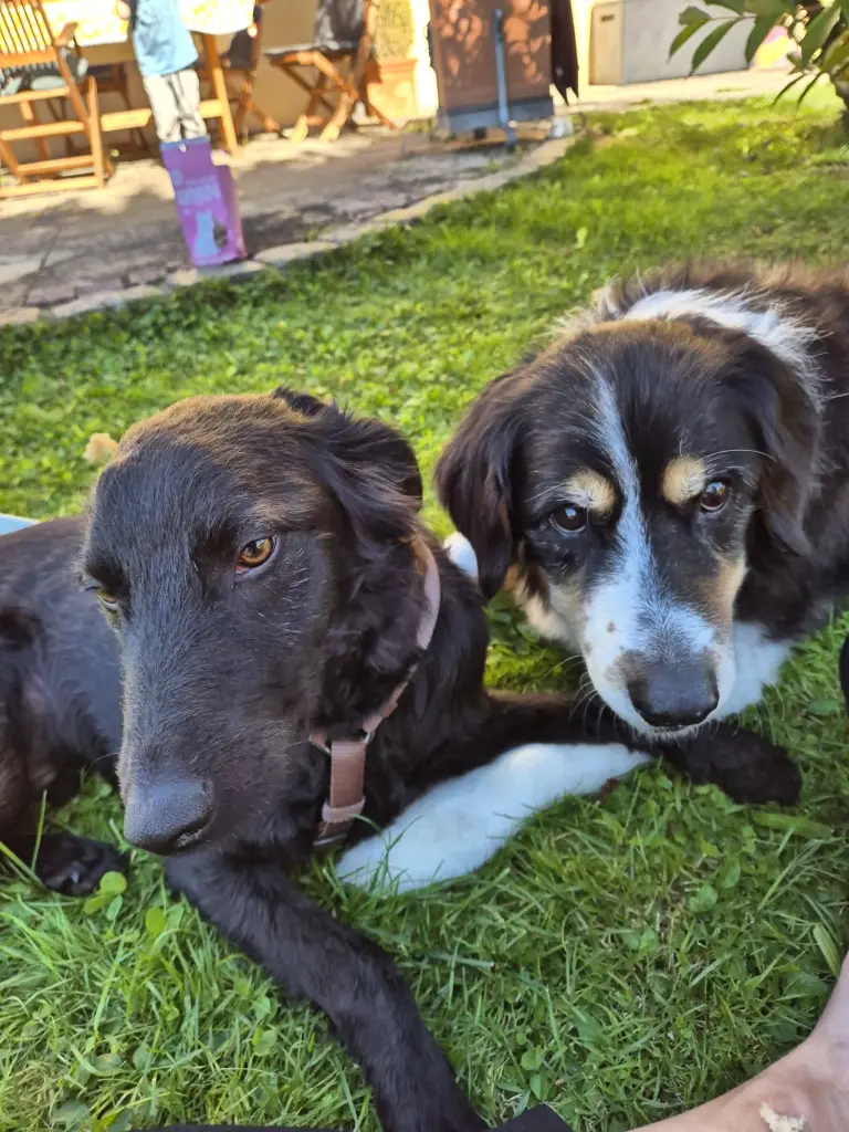 Andachtsbild von Katja