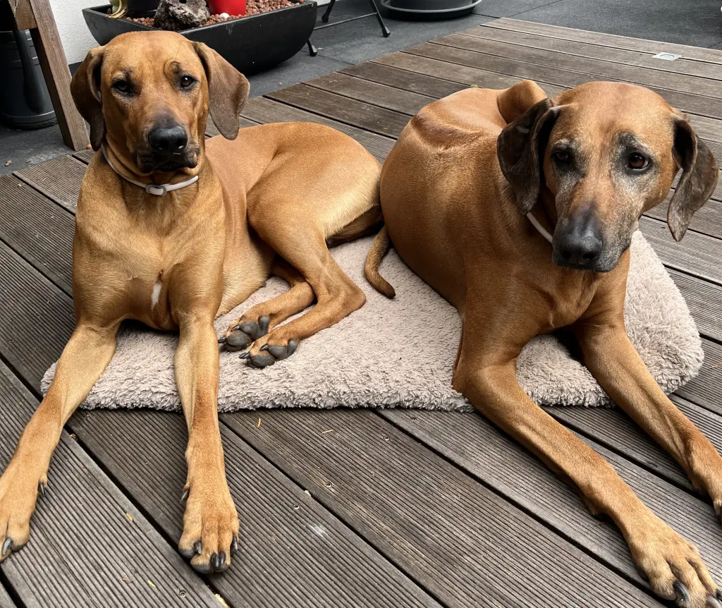 Andachtsbild von Sabine & Micha Hügel