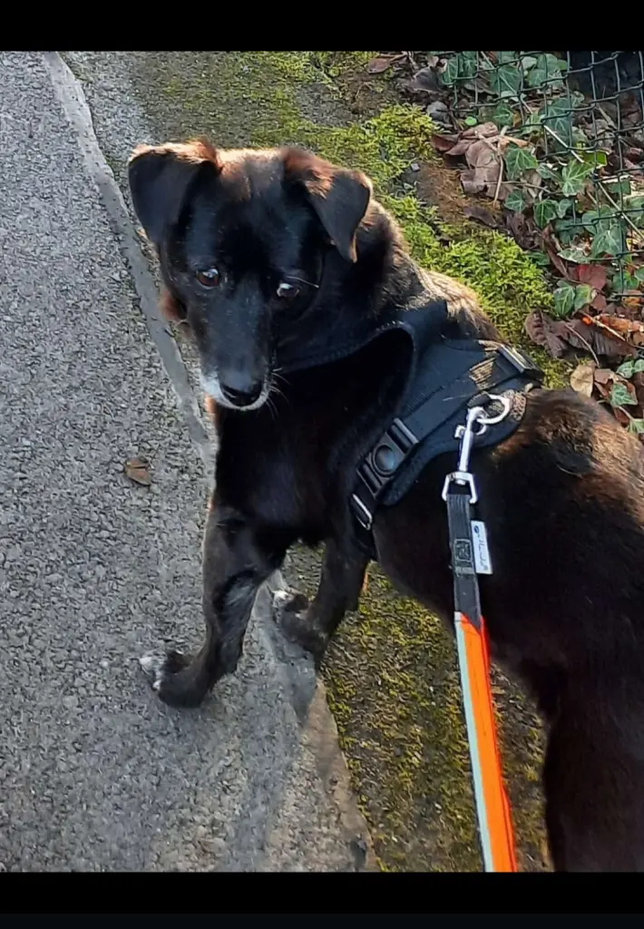 Neugierig und sehr lieb