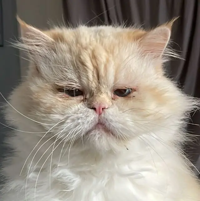 Bild von Tschaikowski