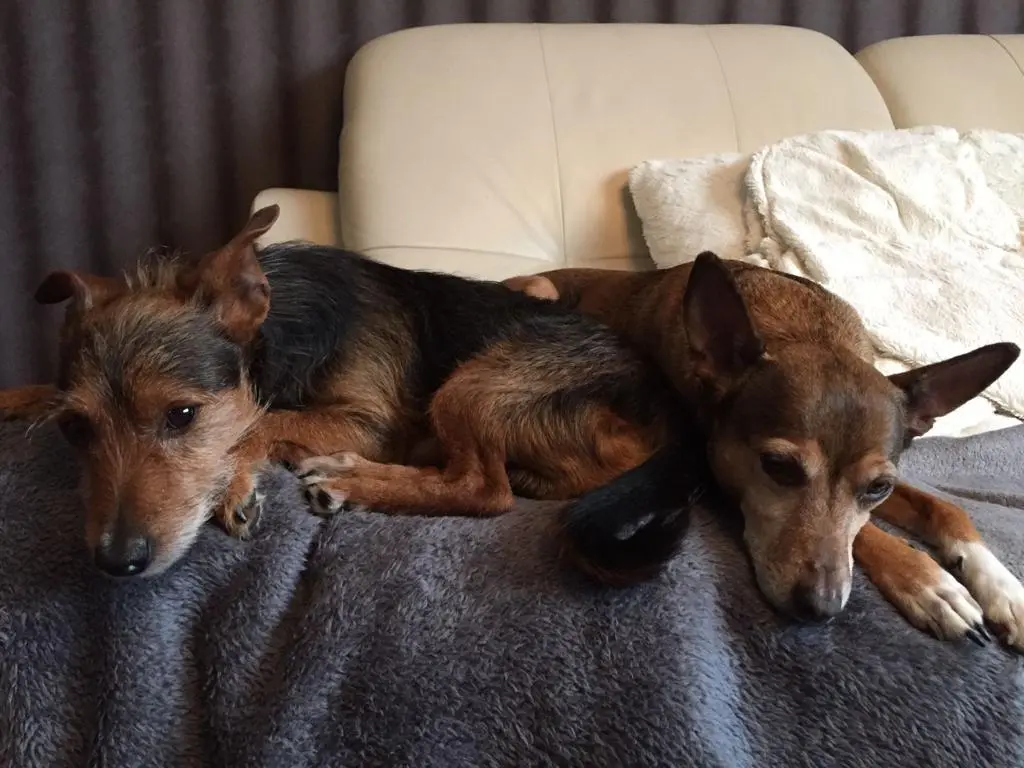 Andachtsbild von Rita