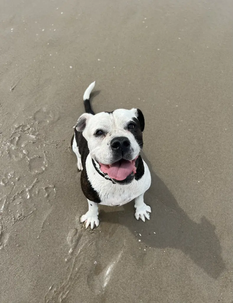 Andachtsbild von Chiara Arnolds