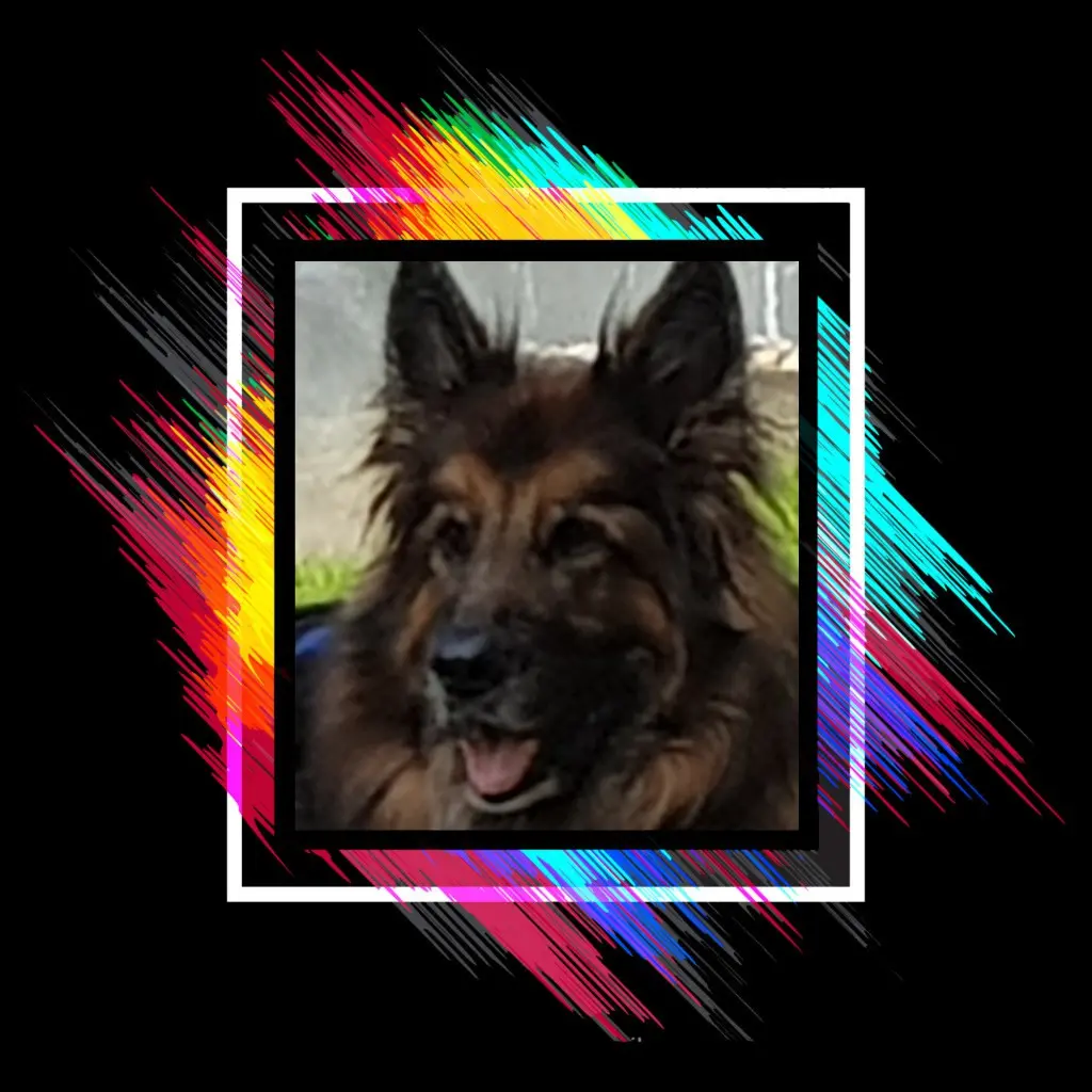 Condolence image of ❤️❤️❤️