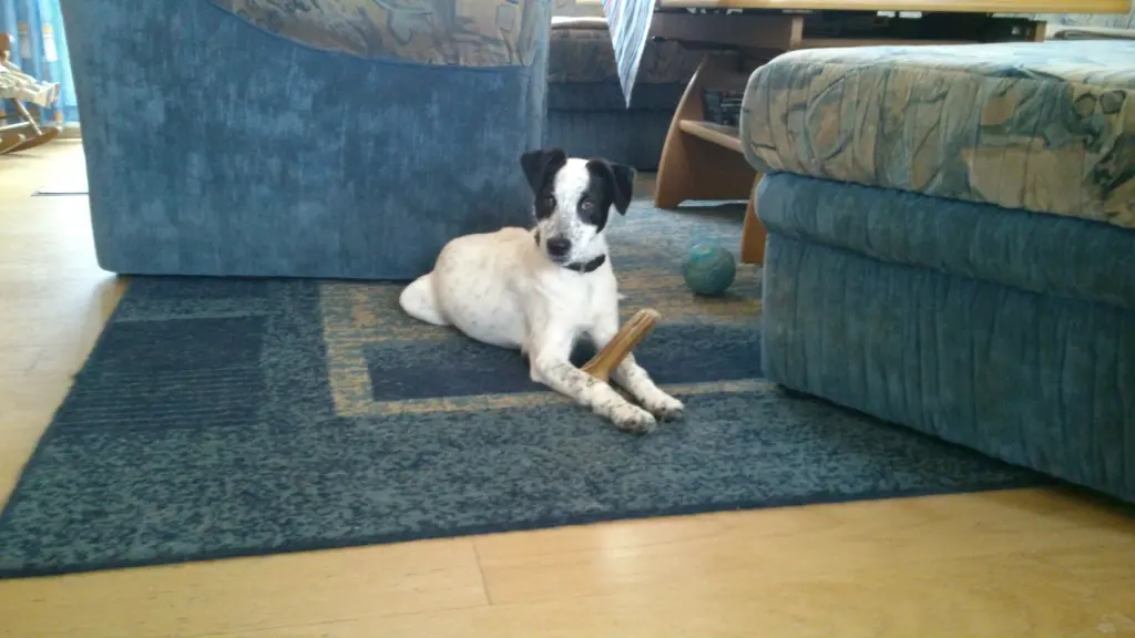 Bild von Stanley