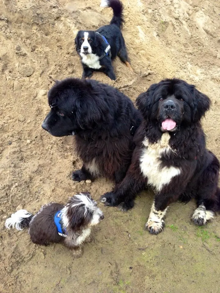 Condolence image of Eva -Maria