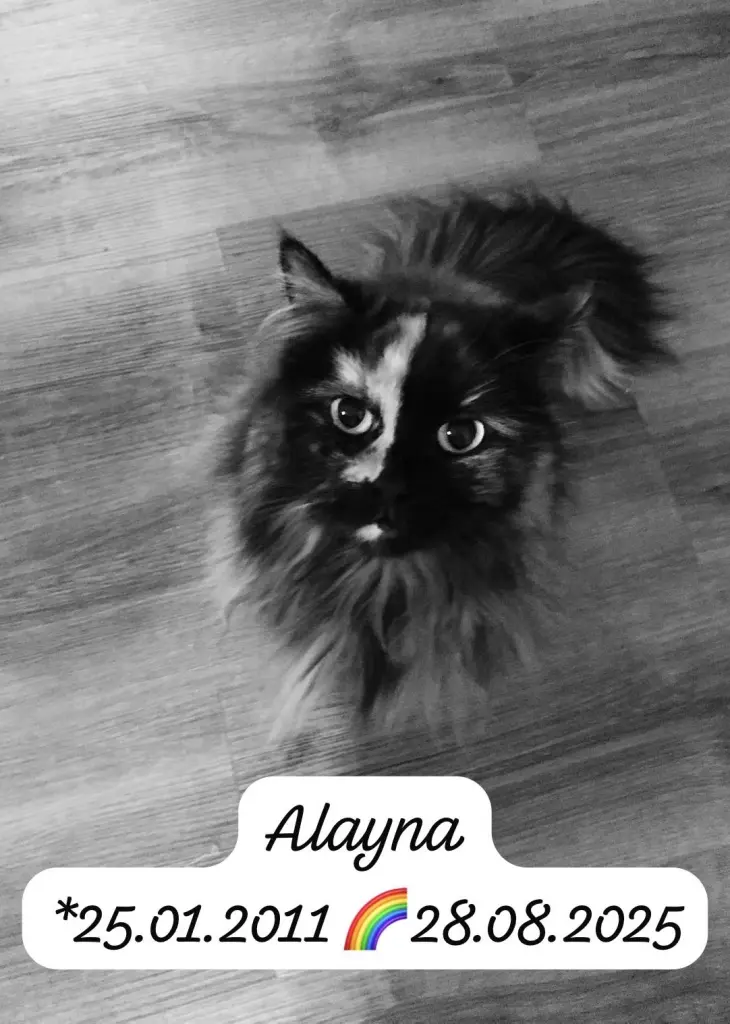 Bild von Alayna
