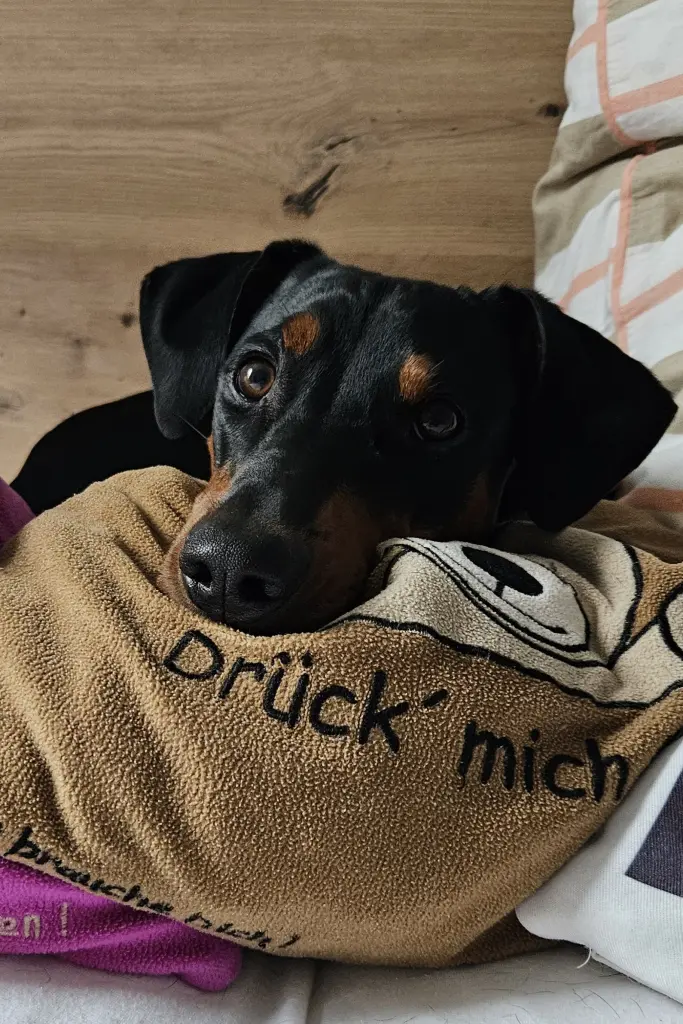 Bild von Yaro Ghandi