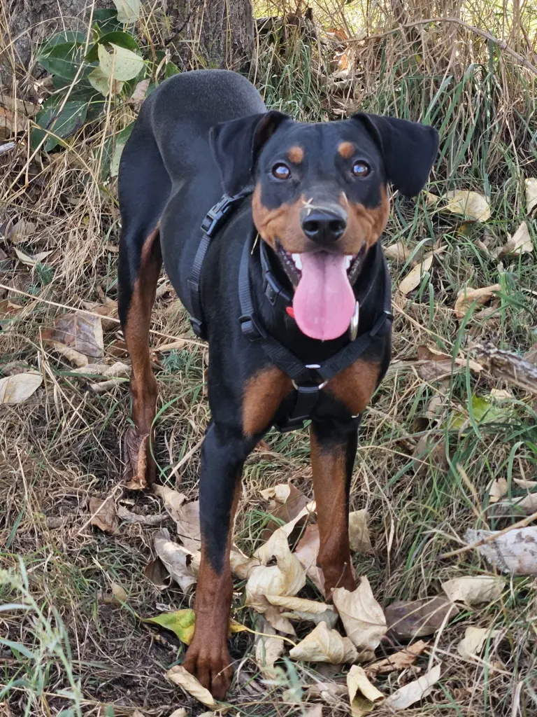 Bild von Yaro Ghandi