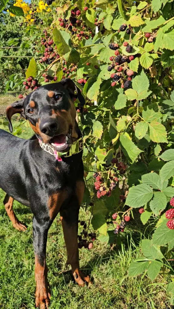 Bild von Yaro Ghandi