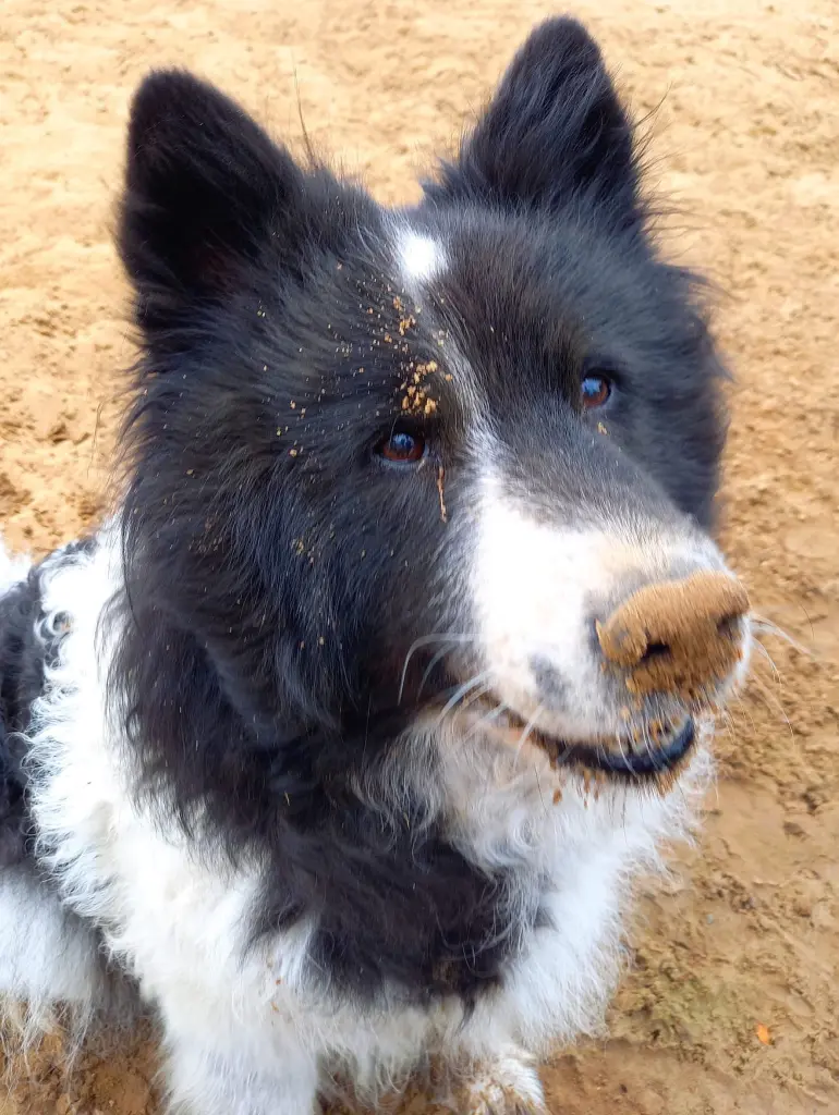 Andachtsbild von Saskia Rosenthal