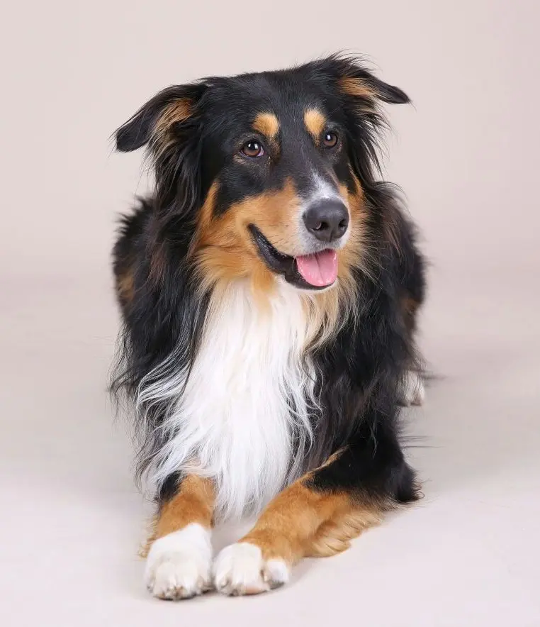 Sam beim 
Fotoshoting