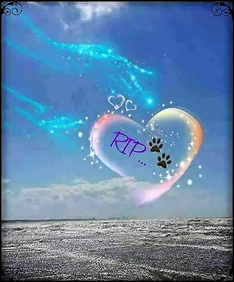 Condolence image of Melanie 