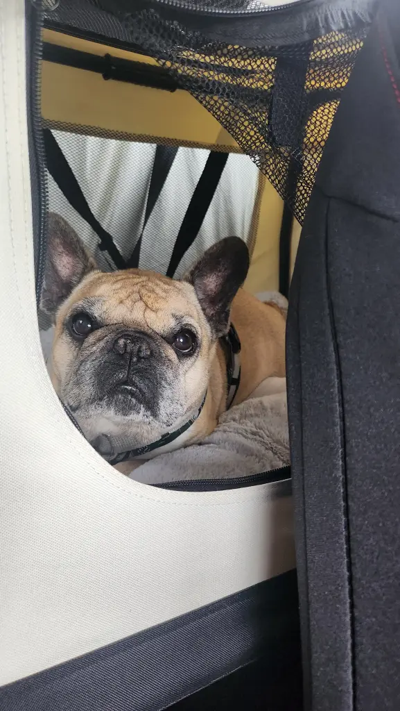 Andachtsbild von Maty Meßfeldt