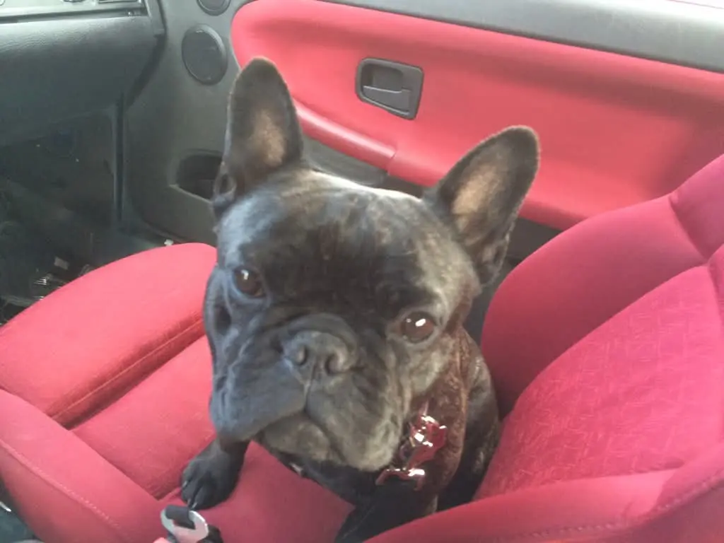 Einmal Nordschleife bitte