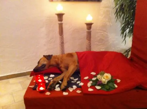 Image from Bintu von Ananzi