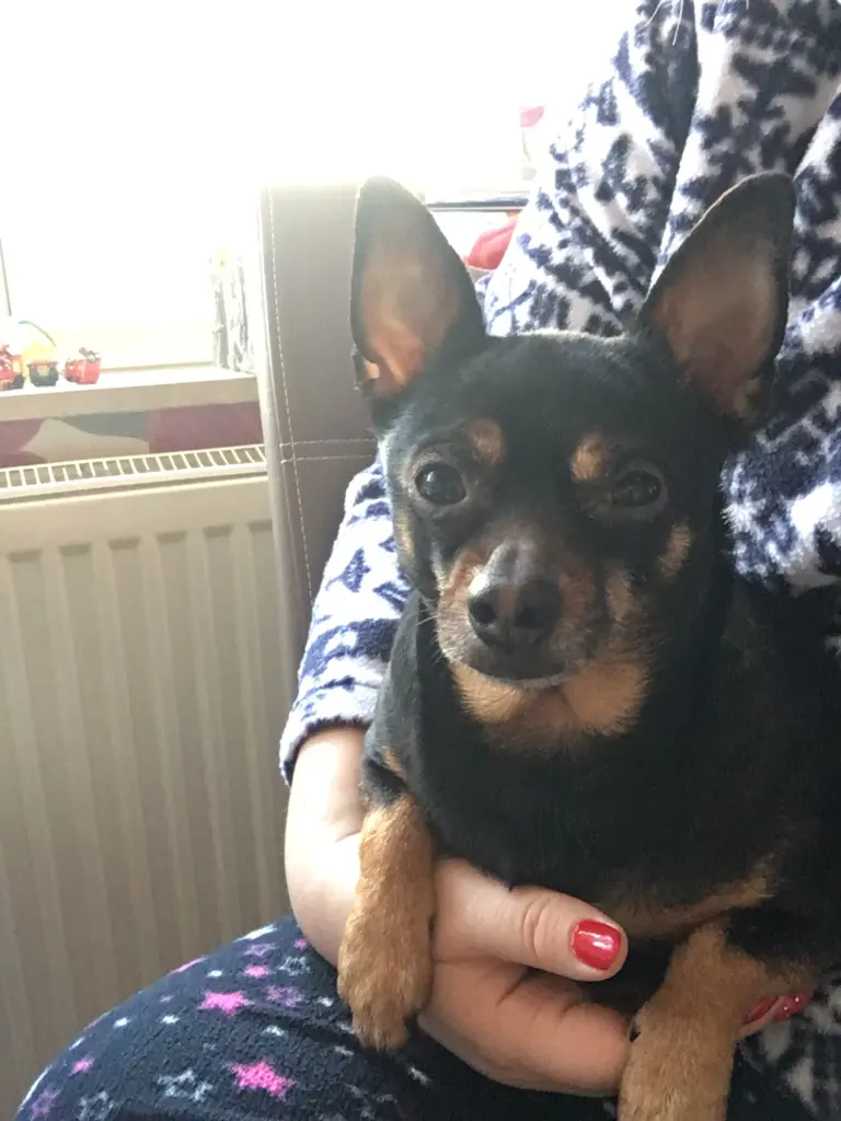 Andachtsbild von Alicja