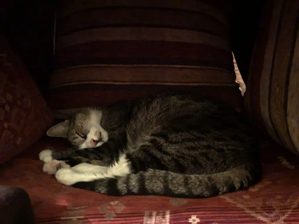 Image from Fräuchen