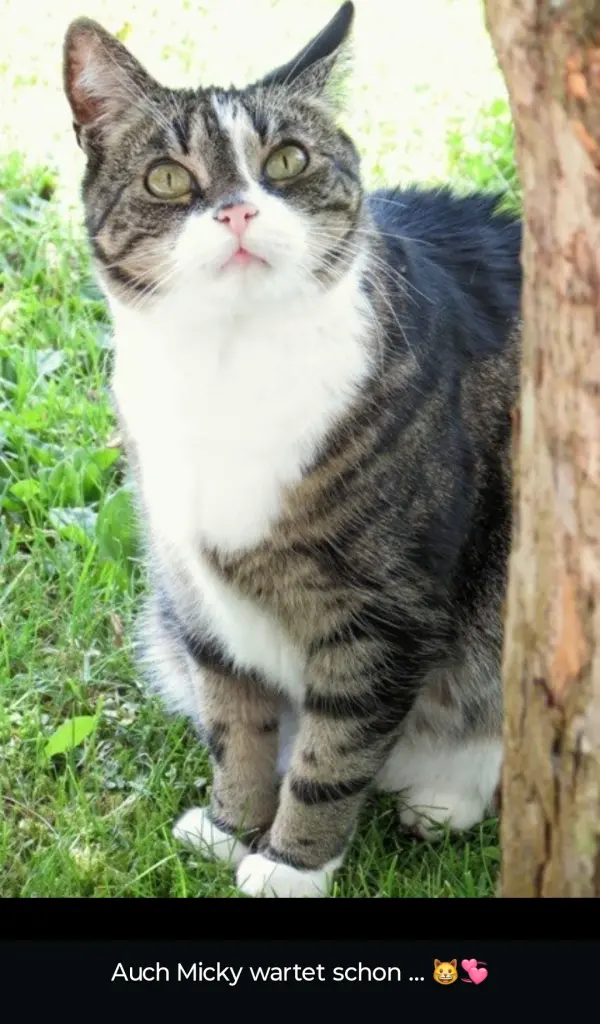 Andachtsbild von Claudia