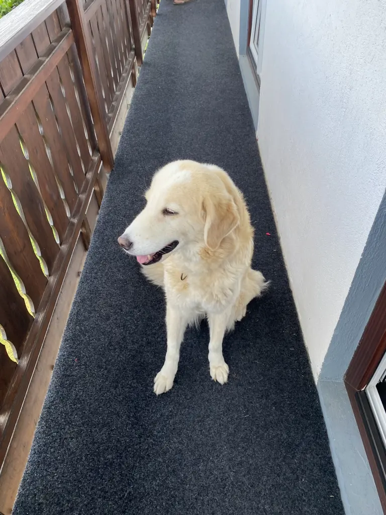 Andachtsbild von Gundula