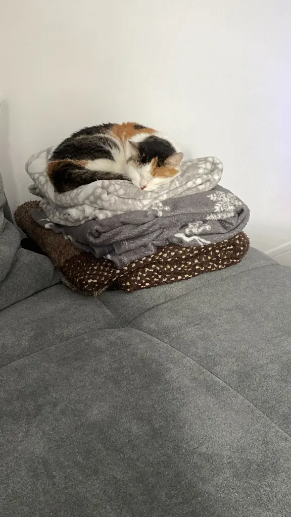 Deine Lieblings decke 🥹