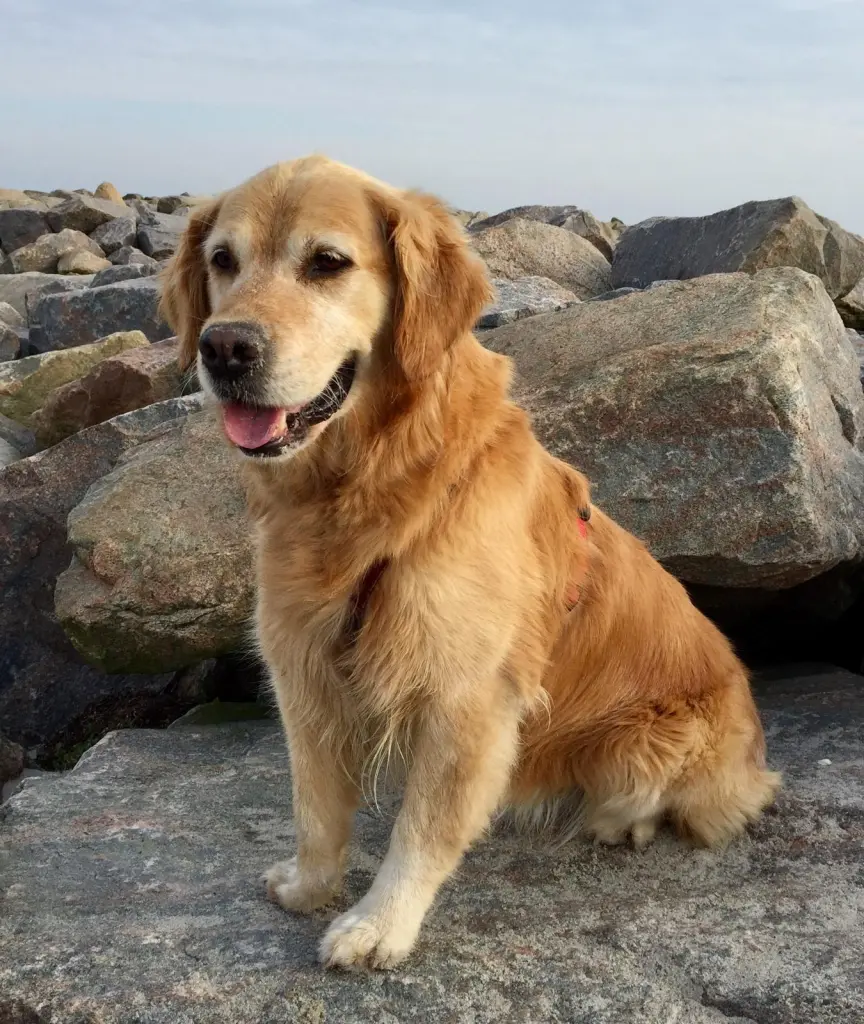 wo bleibt mein Wasserdummy