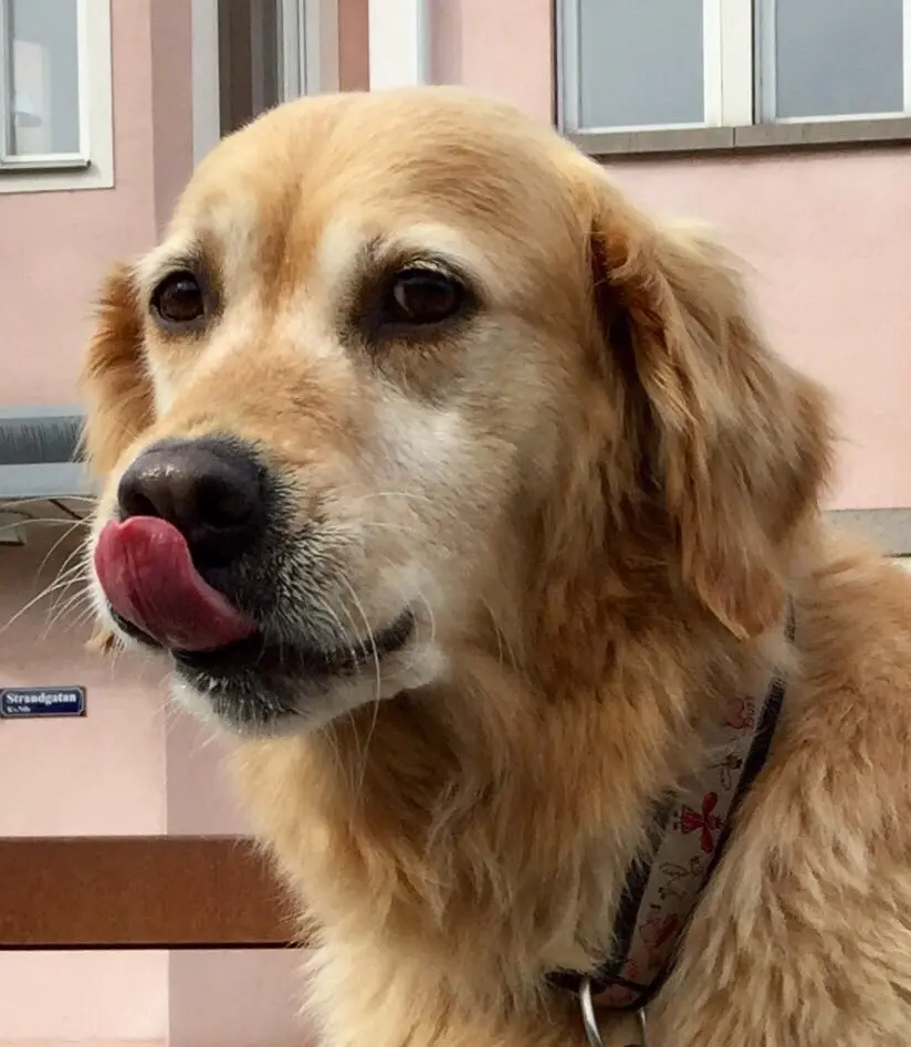 leckeres Eis in Schweden