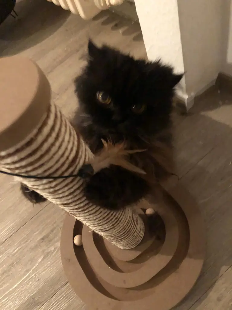 Andachtsbild von Angela Havenith