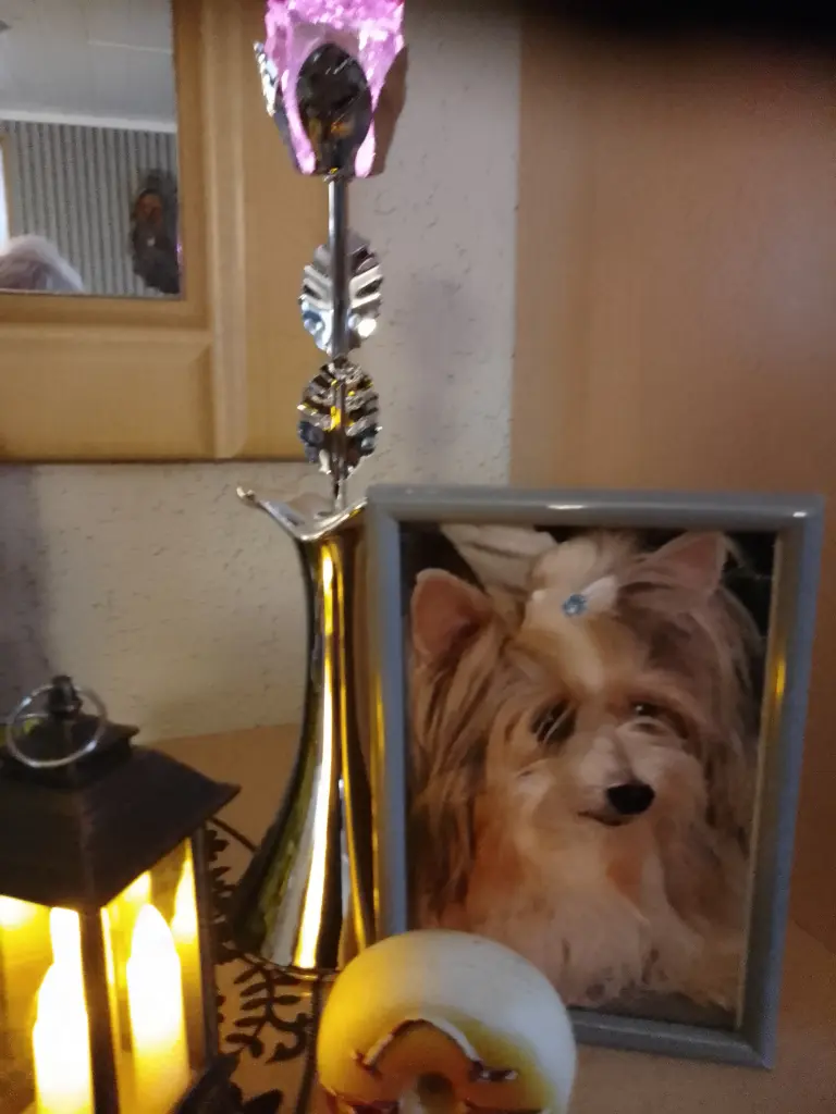 Andachtsbild von Konny mit Piccolino-Fly tief im ❤️