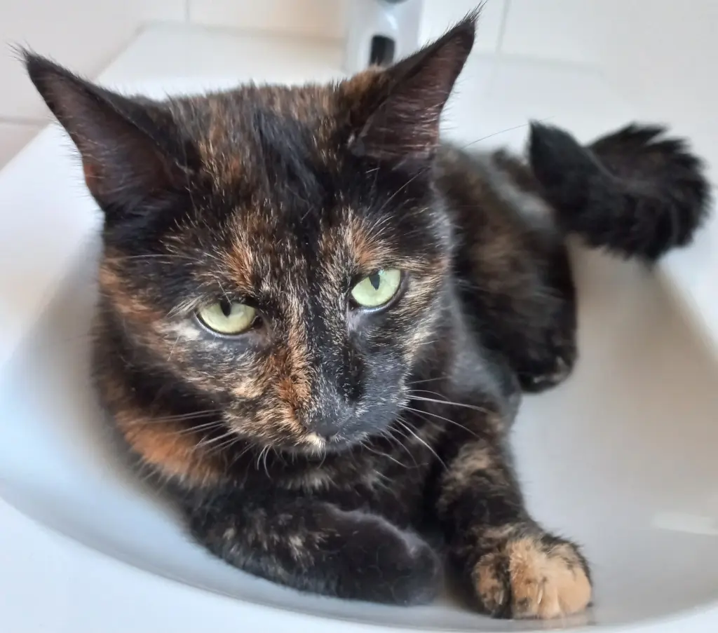 Andachtsbild von Hans-Joachim Gottlöber