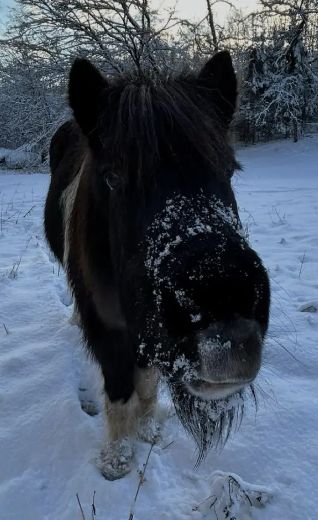 Andachtsbild von Liza Lengemann