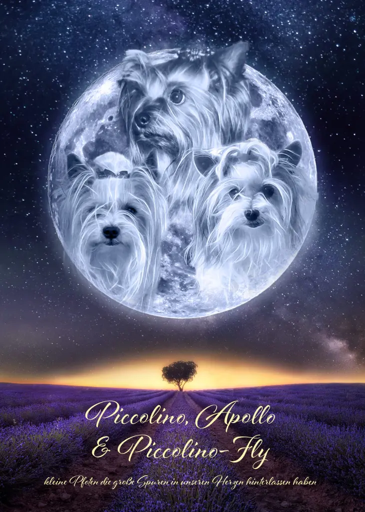 Andachtsbild von Konny Apollo, Piccolino, und Piccolino-Fly tief im ❤️