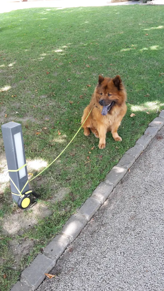 Andachtsbild von Nery, Olivia, Georg und Jakob Euba