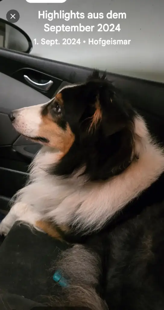 Andachtsbild von Heidi Fleischer