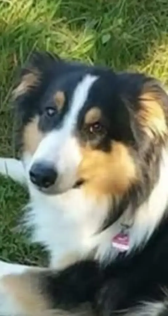 Andachtsbild von Heidi Fleischer