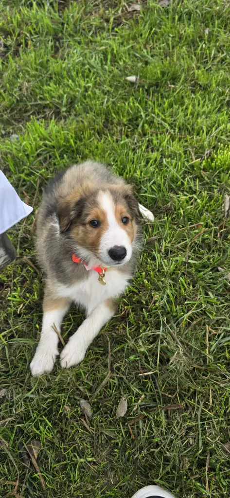 Andachtsbild von Heidi Fleischer