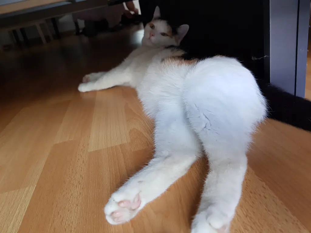 Da zeigt sie mal ganz keck ihren Po