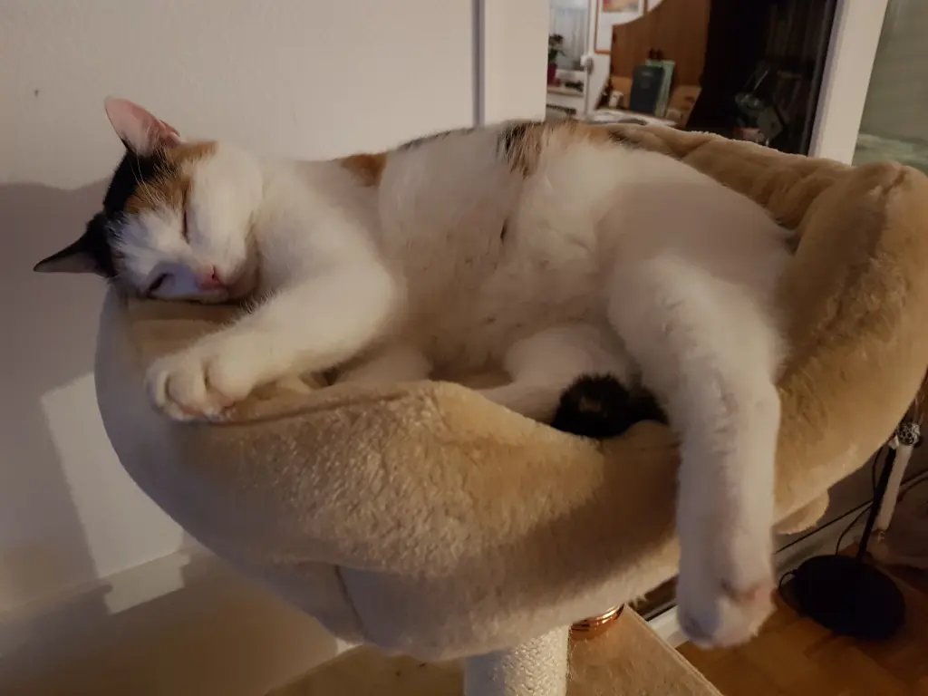 So halten wir dich in Erinnerung.